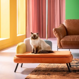 Lit pour animaux en velours orange - Diva - Kare Design