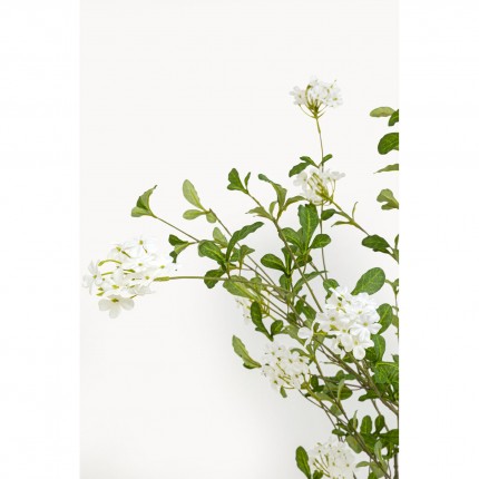 Deco plant Plumbago 152cm Kare Design