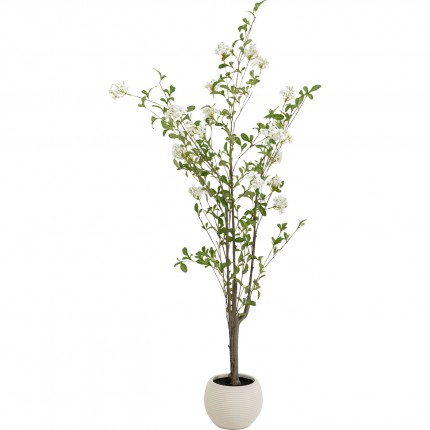 Deco plant Plumbago 152cm Kare Design