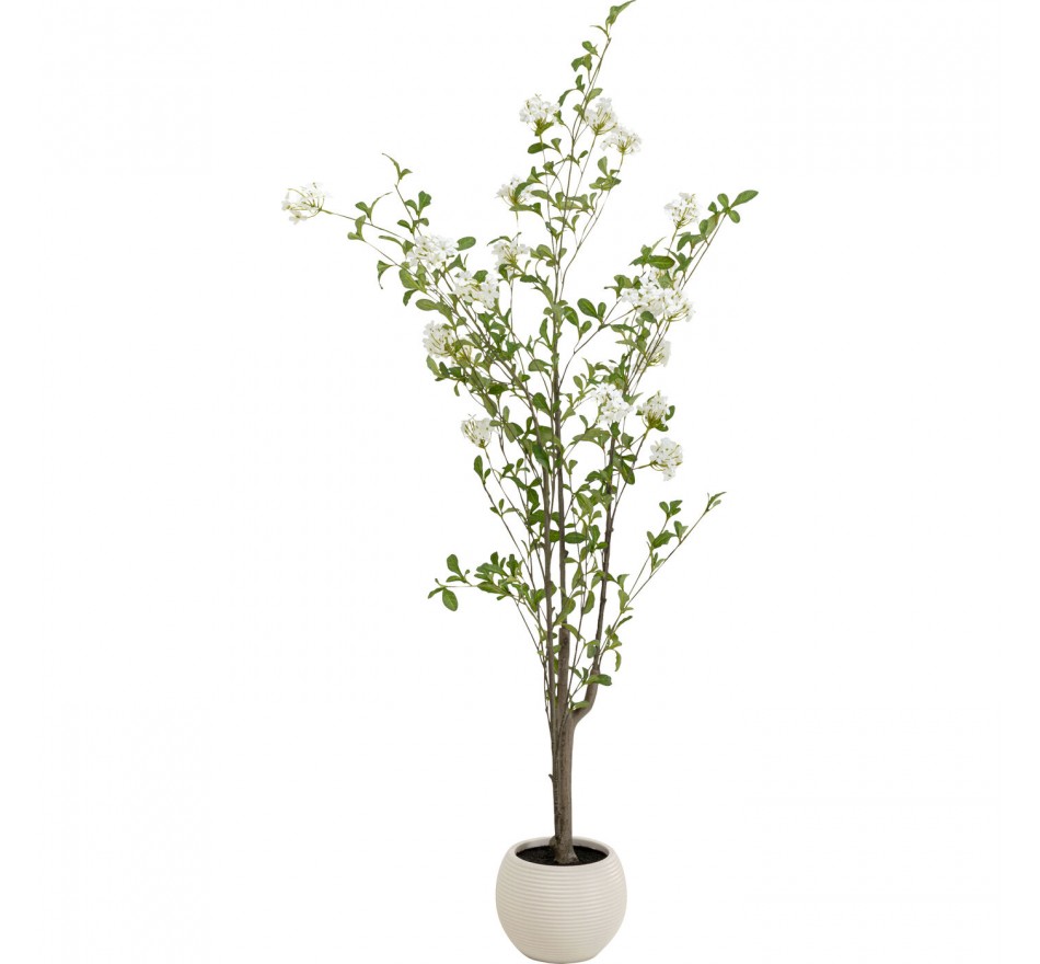 Decoratie plant Plumbago 152cm Kare Design