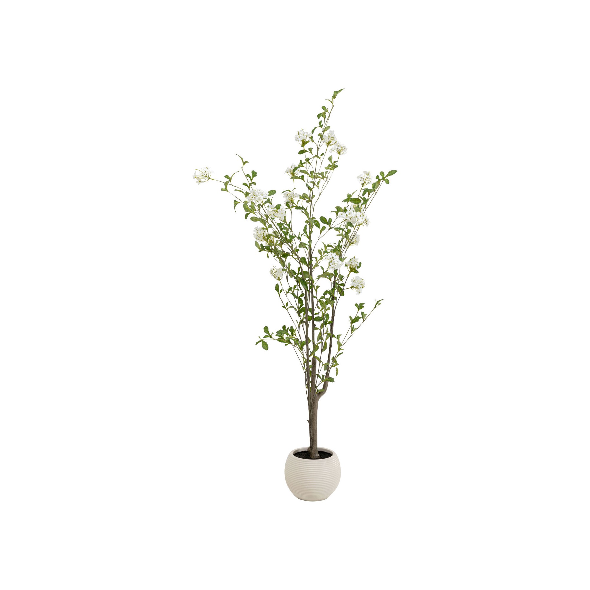 Plante décorative Plumbago 152cm Kare Design