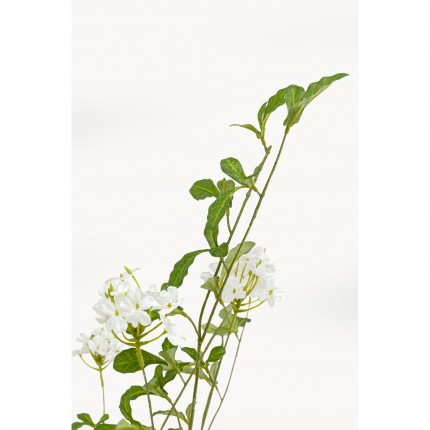 Decoratie plant Plumbago 152cm Kare Design