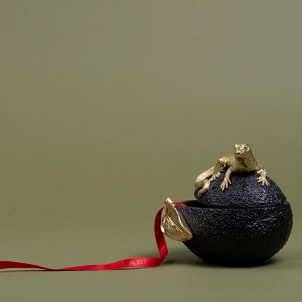 Box lizard avocado Kare Design