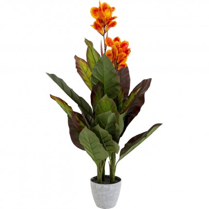 Kunstplanten Canna Lily 115cm Kare Design