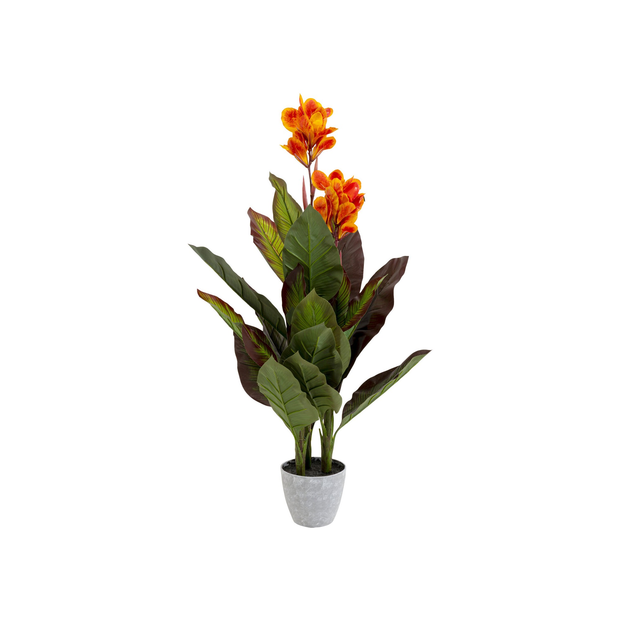 Plante décorative Canna Lily 115cm