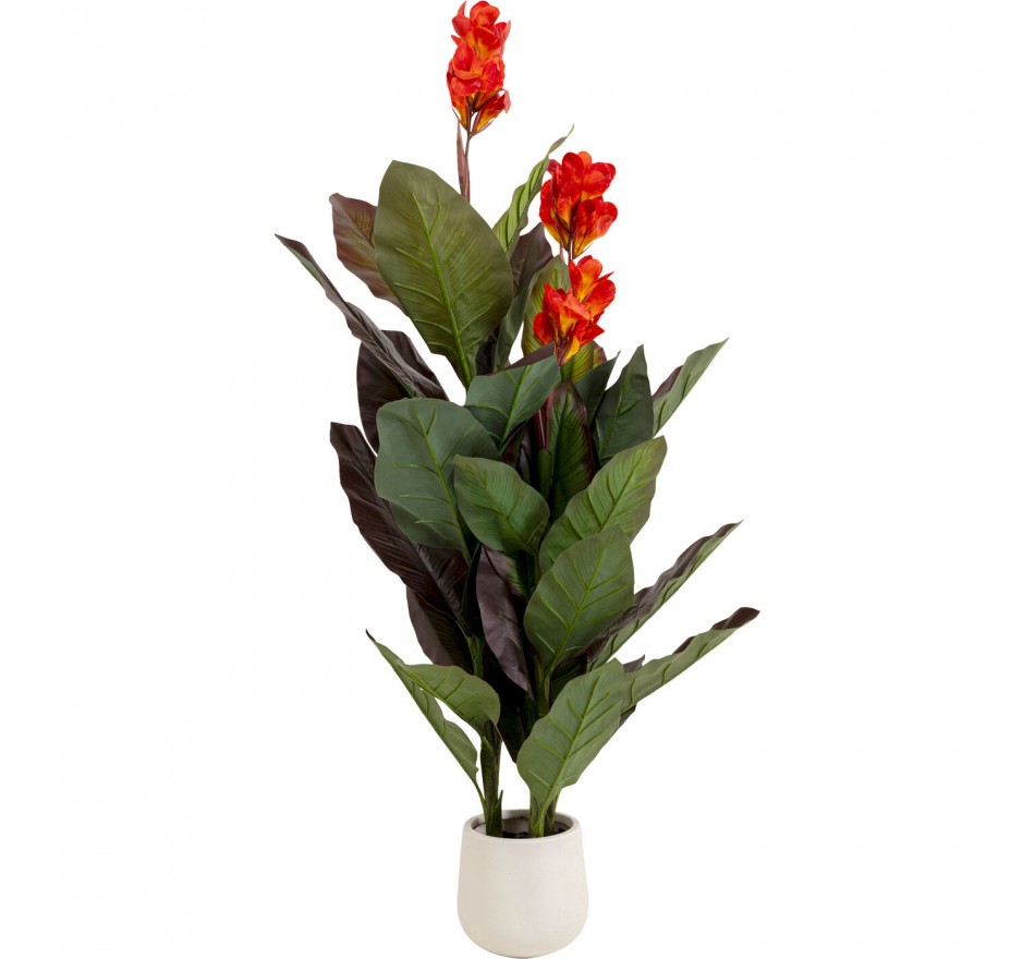 Kunstplanten Canna Lily 165cm Kare Design