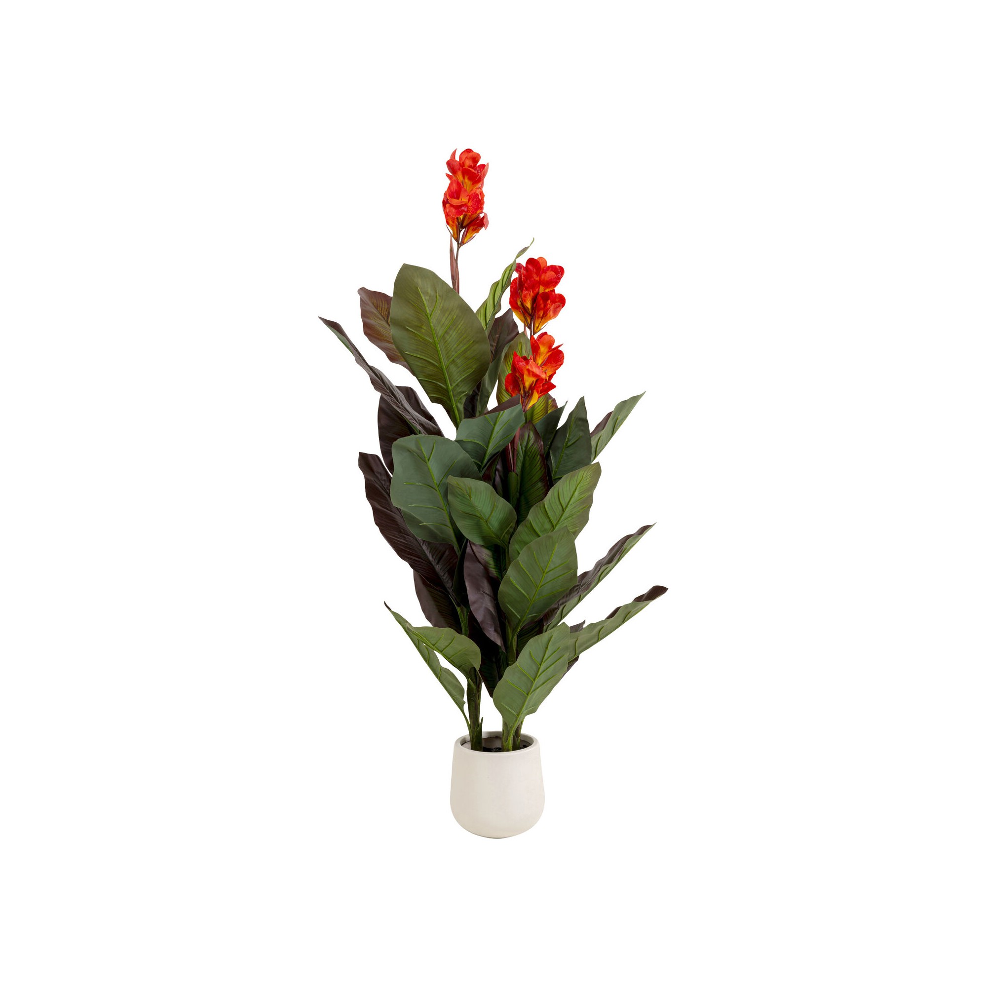 Plante décorative Canna Lily 165cm
