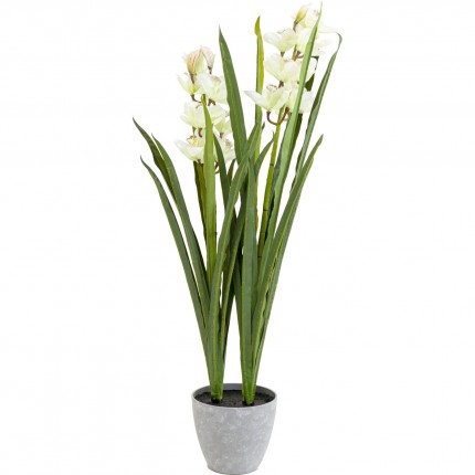 Deco Plant orchid 100cm Kare Design