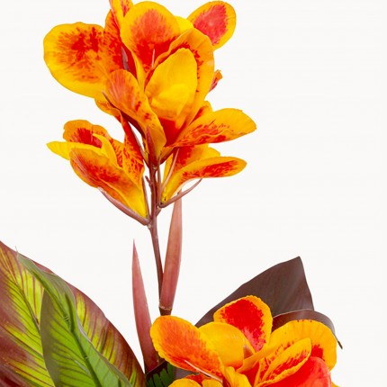 Kunstplanten Canna Lily 115cm Kare Design
