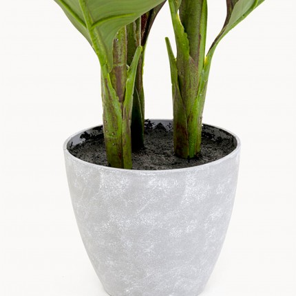 Plante décorative Canna Lily 115cm Kare Design