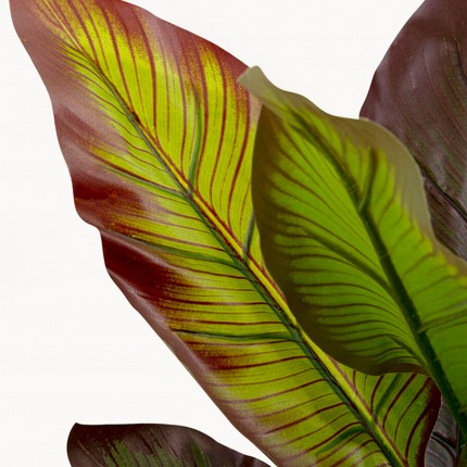 Kunstplanten Canna Lily 115cm Kare Design