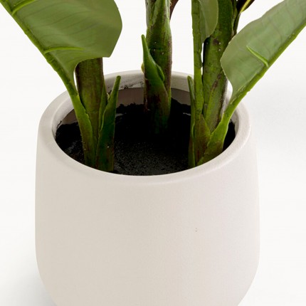 Kunstplanten Canna Lily 165cm Kare Design