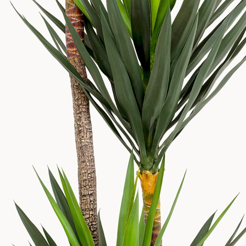Deco Plant Yucca 250cm Kare Design