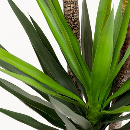 Plante décorative Yucca 250cm Kare Design