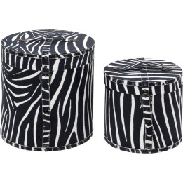Boîte Wild Animal Zebra (2/Set)