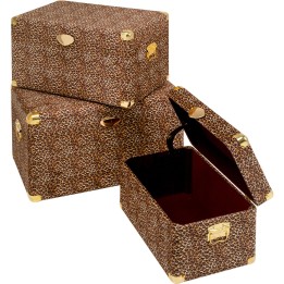Coffre Wild Animal Leo (3/Set)