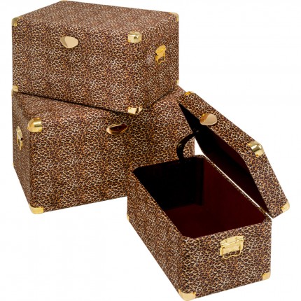 Trunk Wild Animal leopard (3/Set) Kare Design