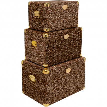 Trunk Wild Animal leopard (3/Set) Kare Design