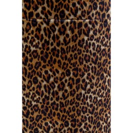 Boîtes imprimé léopard - Wild Animal - Kare Design
