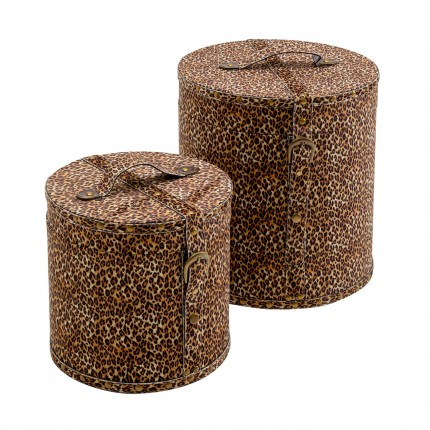 Box Wild Animal leopard (2/Set) Kare Design
