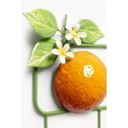 Garderobe murale Citrus 62cm