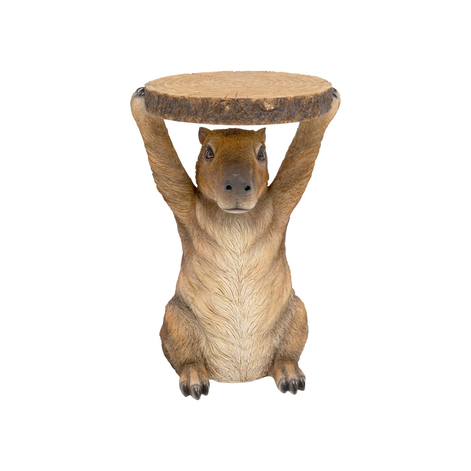 Table d appoint Animal Capybara Ø34cm