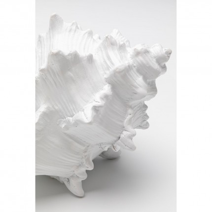 Woonaccessoires schelp wit 19cm Kare Design