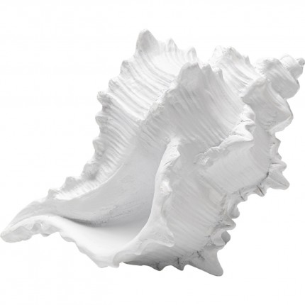 Déco coquillage blanc 19cm Kare Design