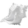 Woonaccessoires schelp wit 19cm Kare Design