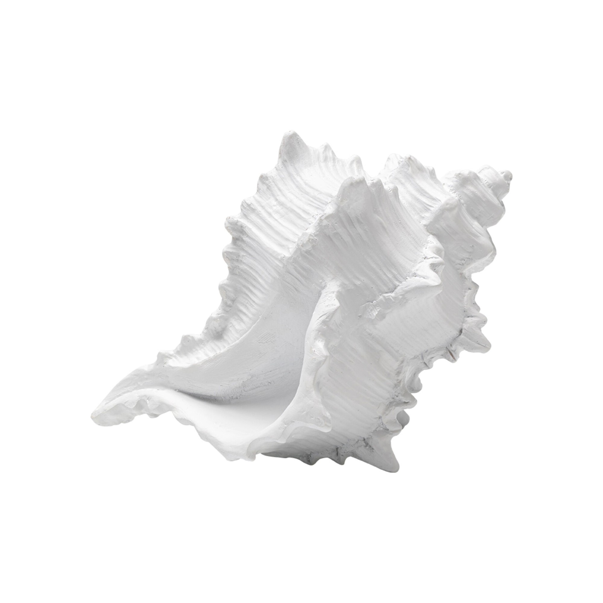 Woonaccessoires schelp wit 19cm Kare Design