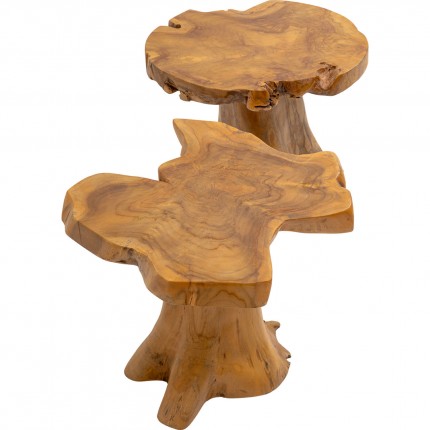 Salontafel boomstronk Kare Design