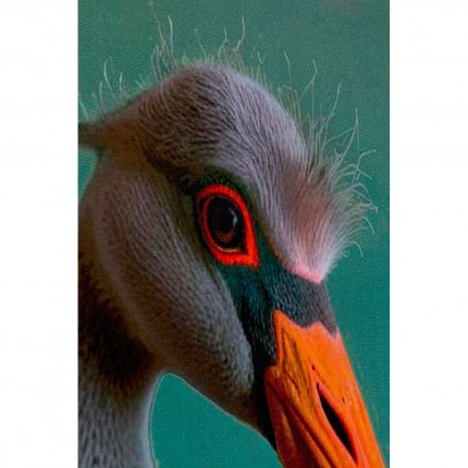 Tableau monsieur flamant rose 45x60cm Kare Design