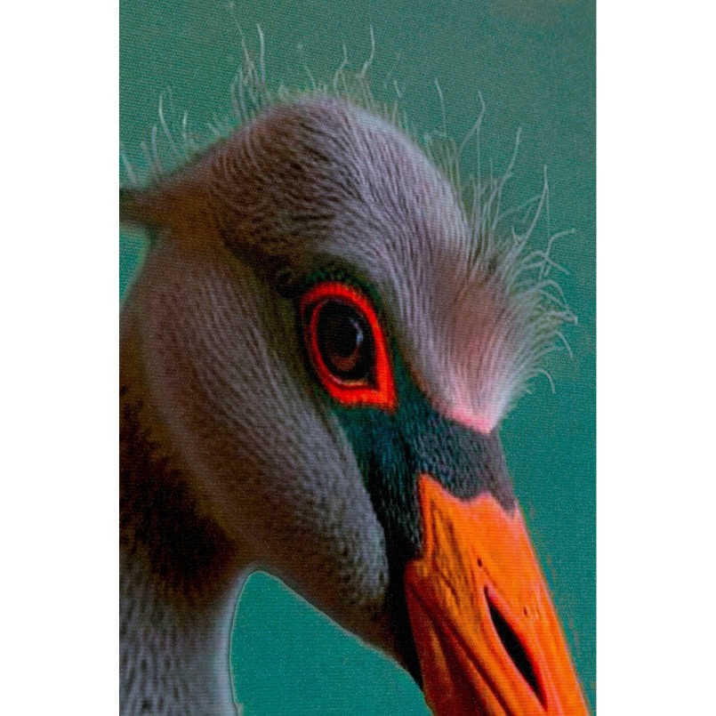 Canvas Picture mister flamingo 45x60cm Kare Design