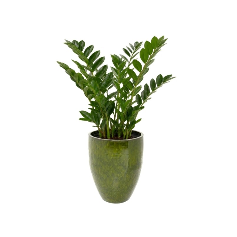 Vase Cali vert 58cm