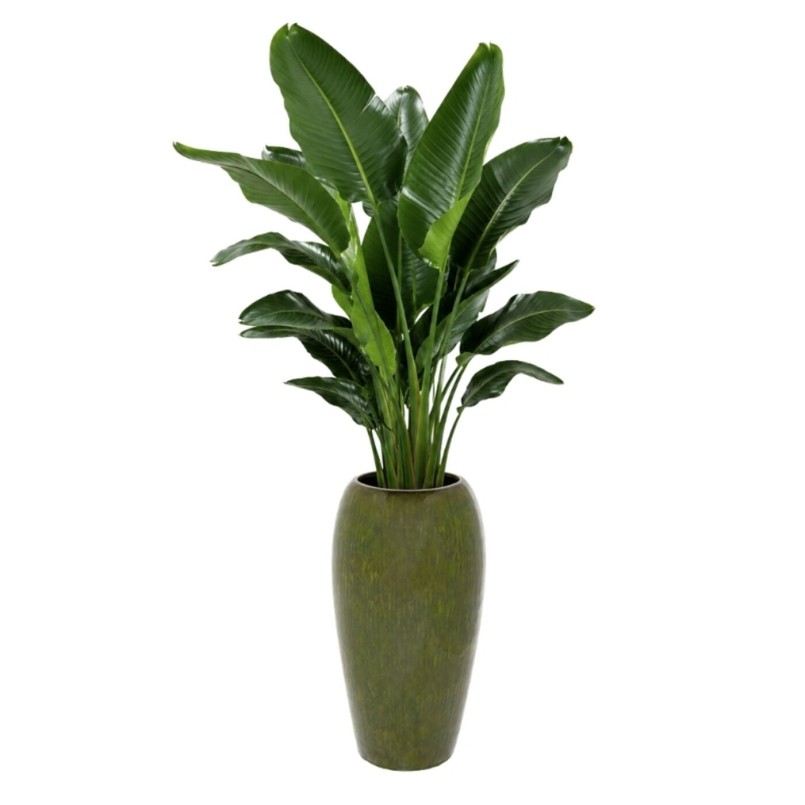Vase Cali vert 62cm