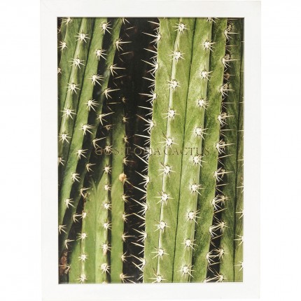 Ingelijste Foto Cactus 45x33cm Kare Design