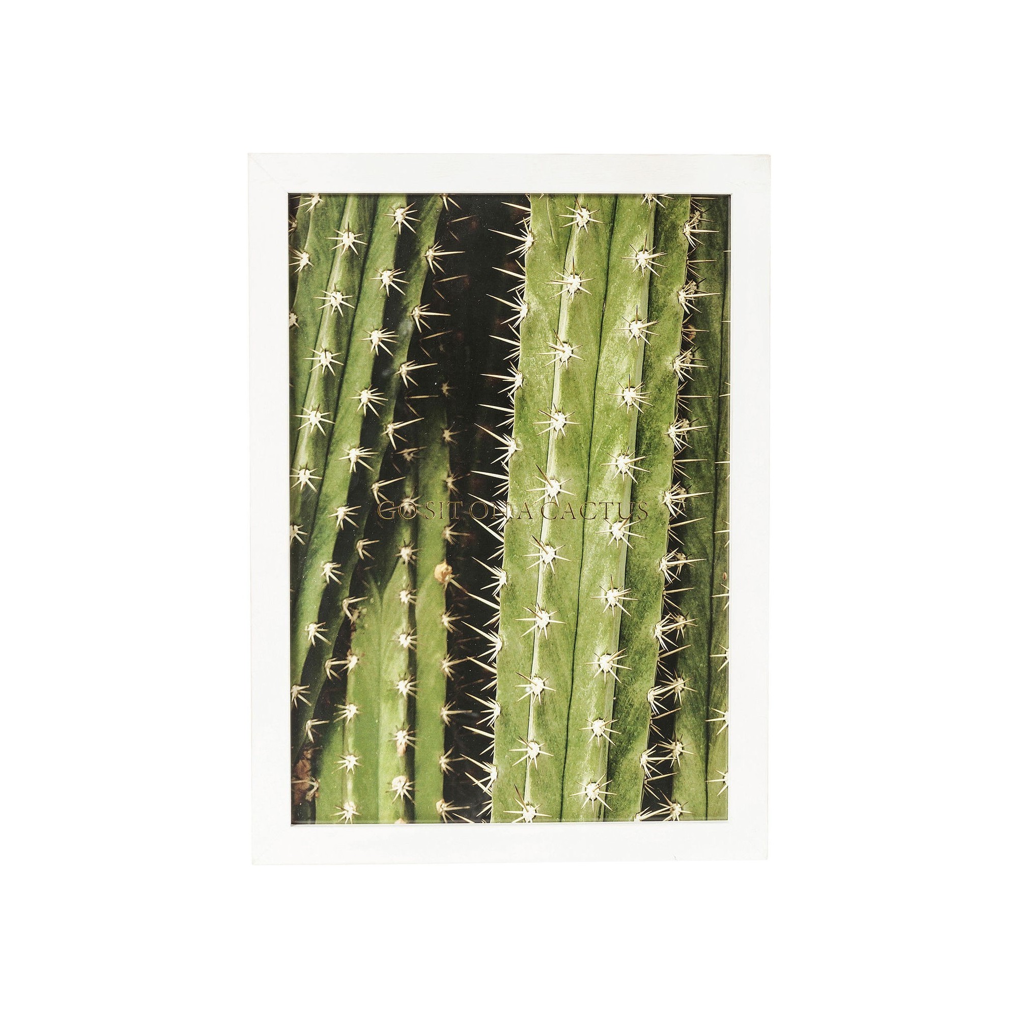 Picture Frame Cactus 45x33cm Kare Design