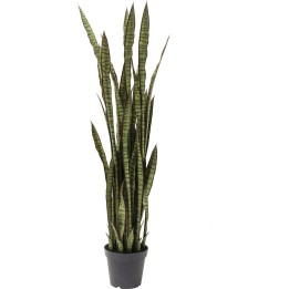 Deco Plant Sansewieria 155cm Kare Design