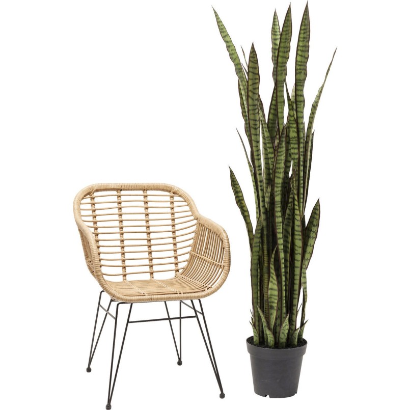 Deco Plant Sansewieria 155cm Kare Design