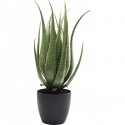 Plante décorative Aloe 69cm Kare Design