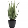 Plante décorative Aloe 69cm Kare Design