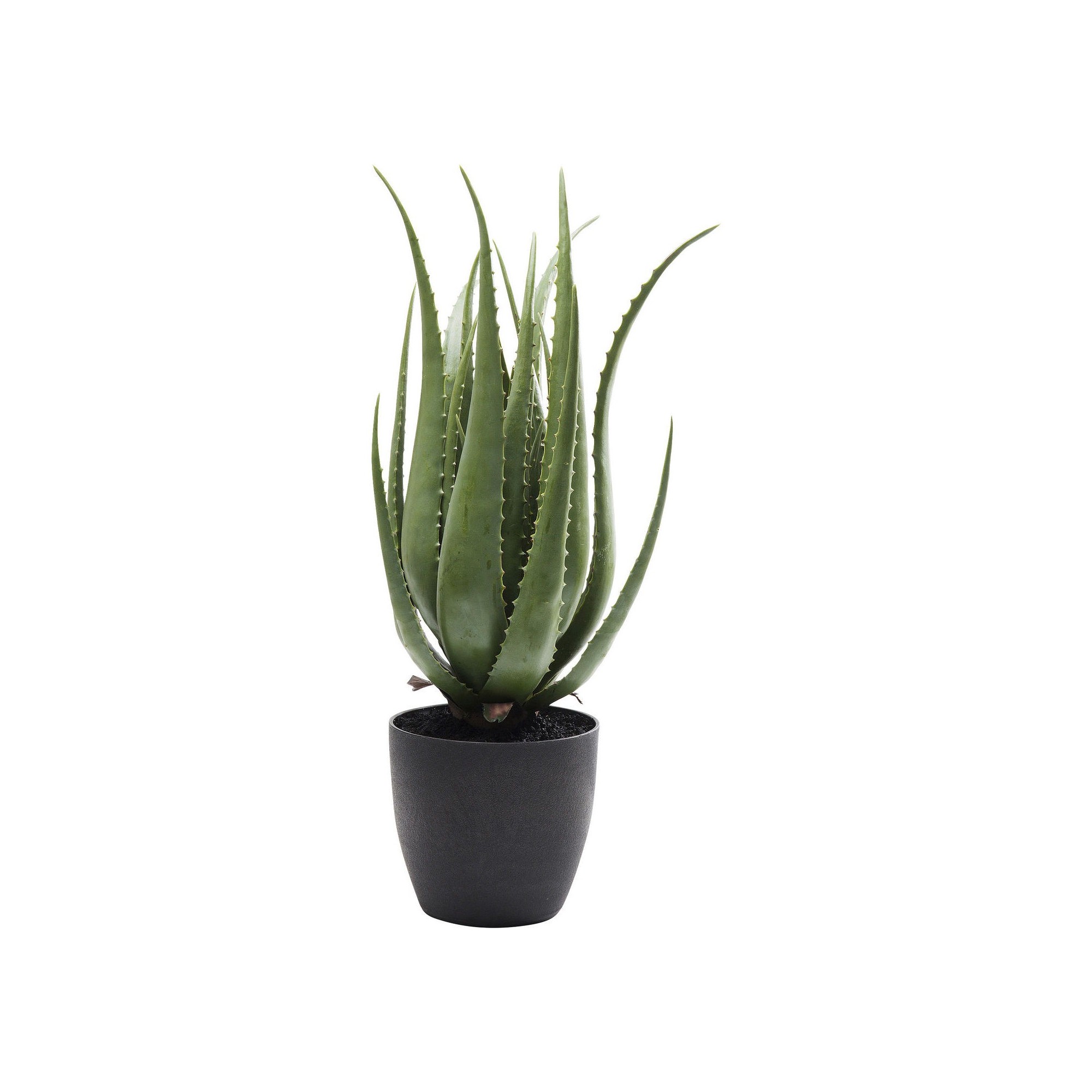 Deco Plant Aloe 69cm Kare Design