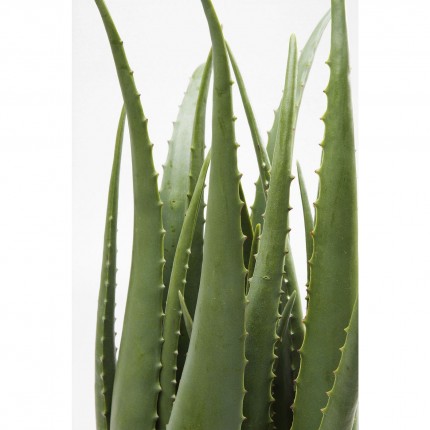 Decoratie Plant Aloe 69cm Kare Design