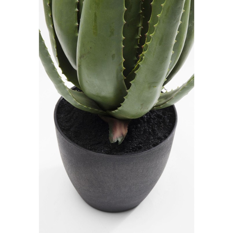 Deco Plant Aloe 69cm Kare Design