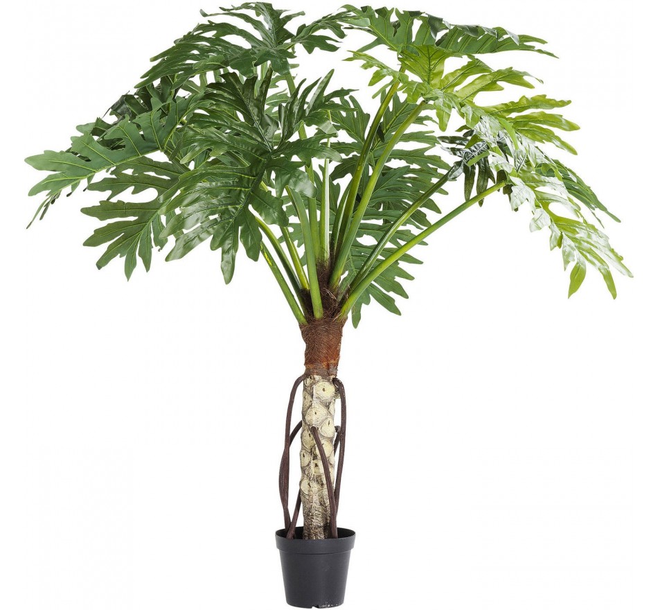 Kunstplanten thaumatophyllum 175cm Kare Design
