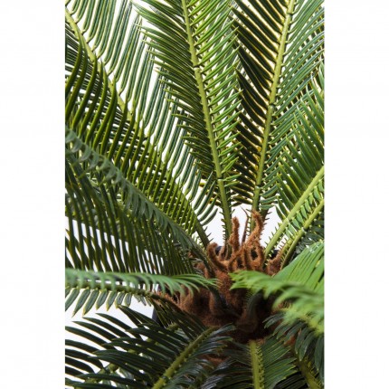 Decoratie Plant Cycas Tree 78cm Kare Design