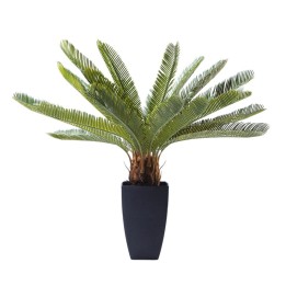 Deco Plant Cycas Tree 78cm Kare Design