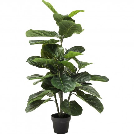 Plante décorative Figuier lyre 120cm Kare Design