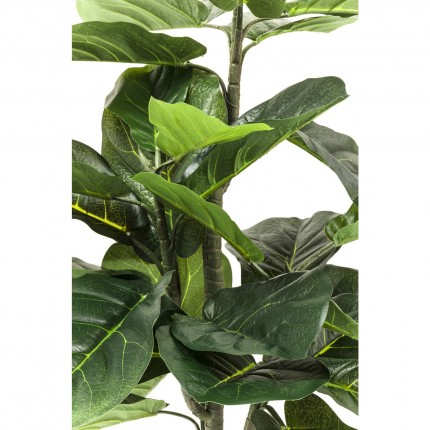 Decoratie Plant Fiddle Leaf 120cm Kare Design