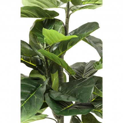 Kunstplanten Ficus Lyrata 120cm Kare Design
